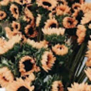 Meet your Posher, Eden